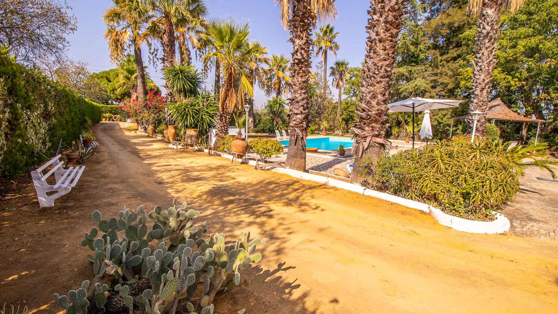 Casa Rural Santa Ana - Foto 4