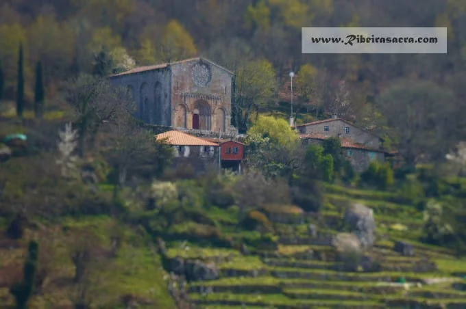 Santo Estevo - Foto 5