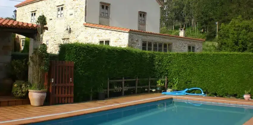 Casa da Sebe - Foto 4