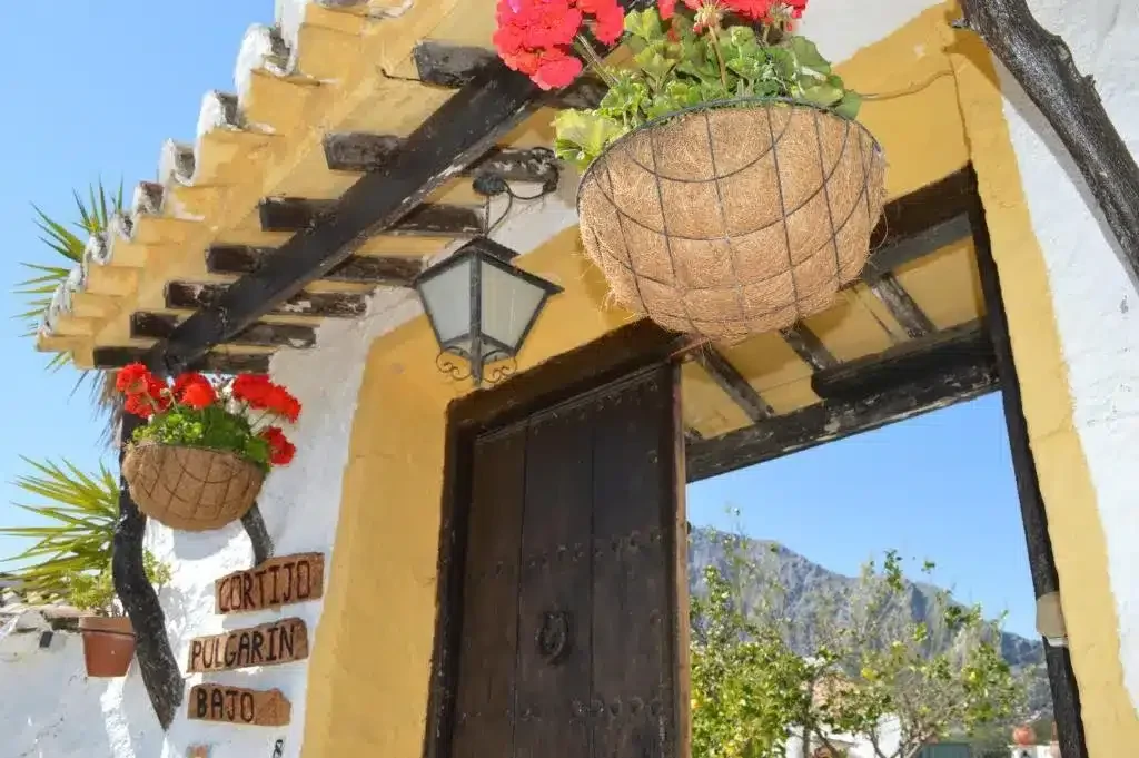 Cortijo Pulgarín Bajo - Foto 5