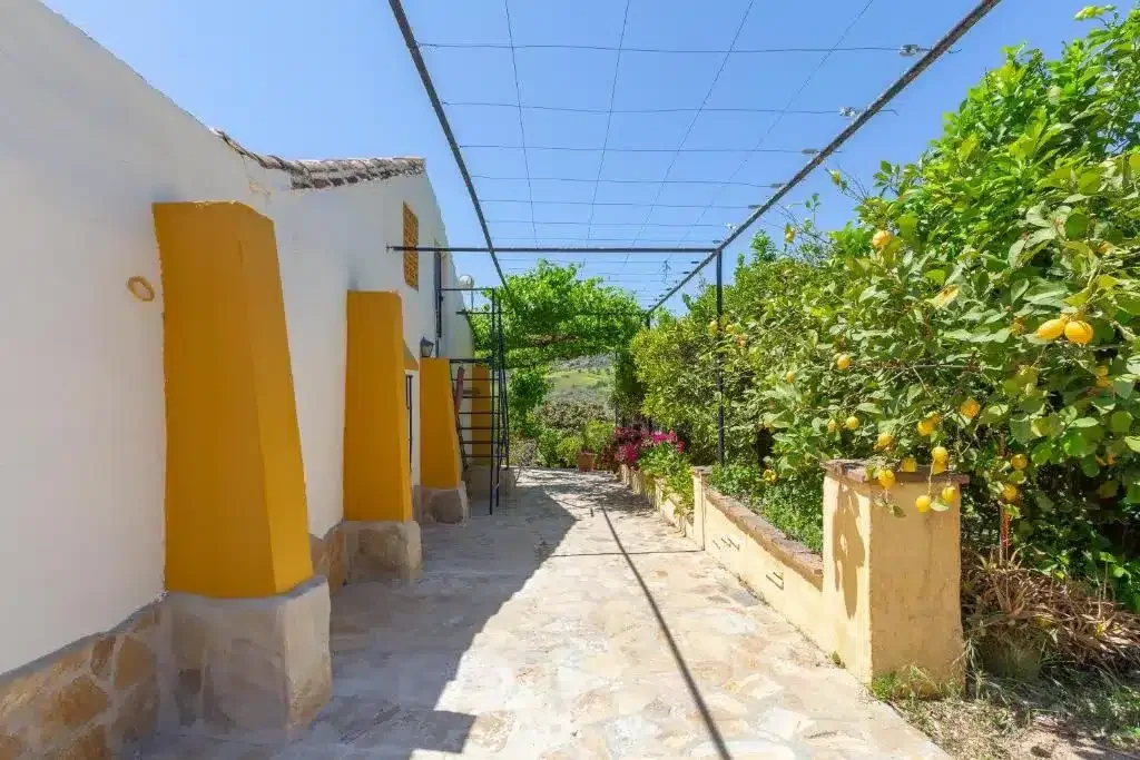 Casa Altavista - Foto 5