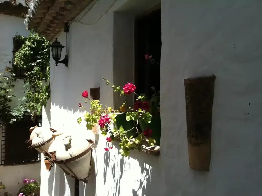 La Casa de Corruco - Foto 4