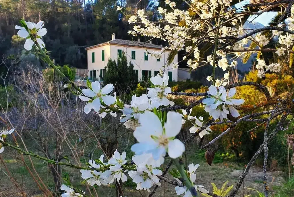 Sa Màniga - Foto 2