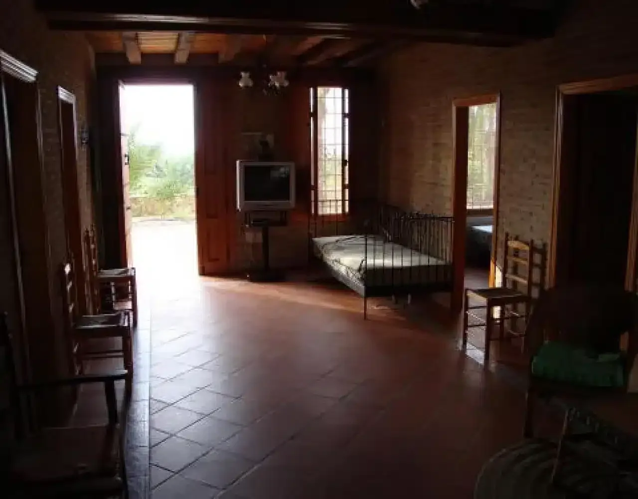Los Gorriones - Foto 2