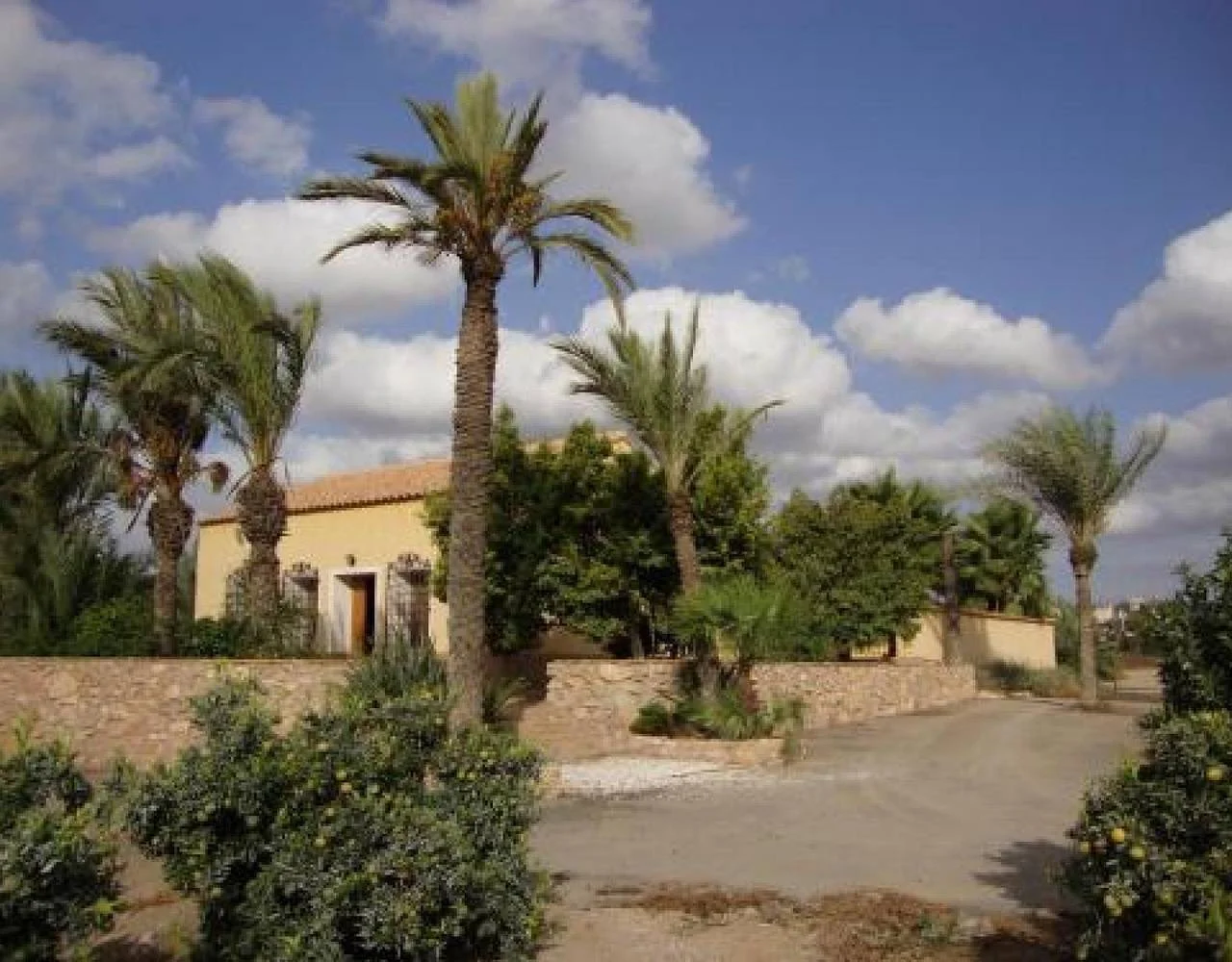 Los Gorriones - Foto 3