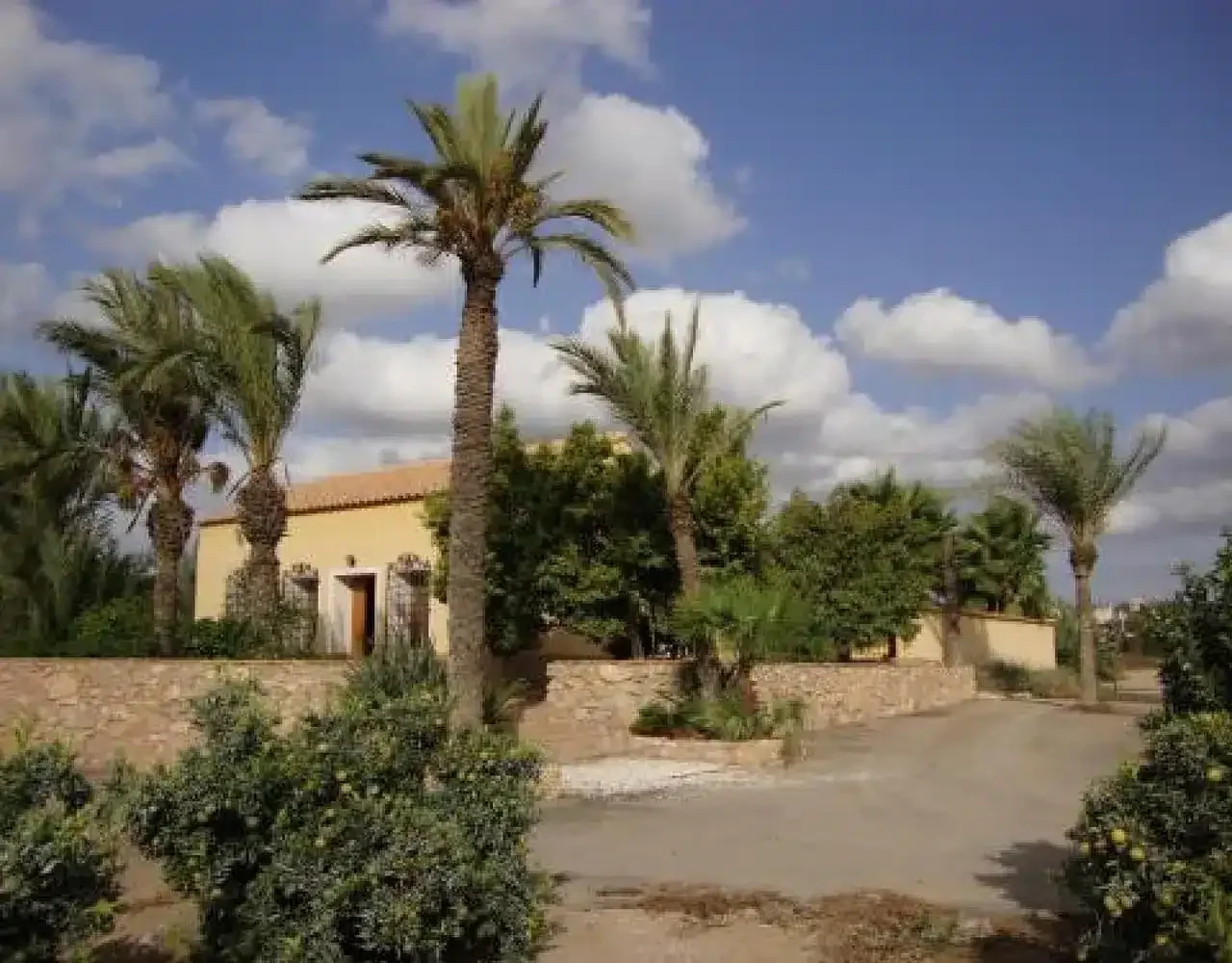 Los Gorriones - Foto 5