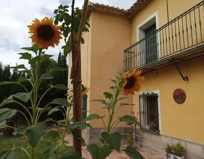 Finca Las Nieves - Foto 3