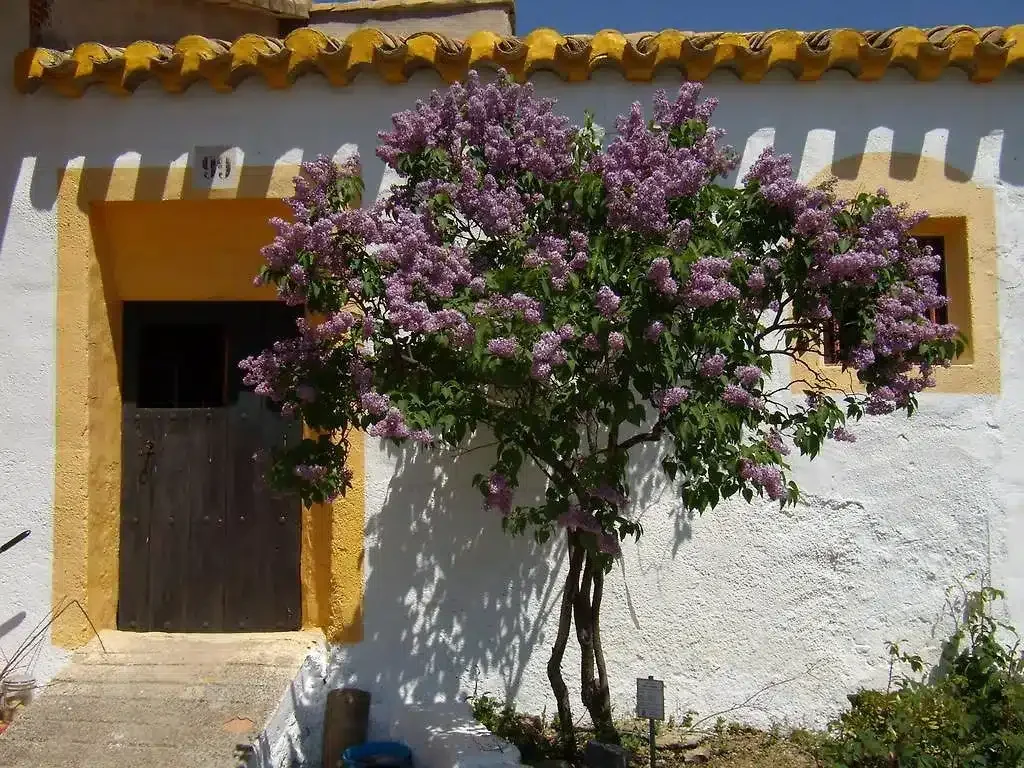 Cortijo Los Nopales - Foto 4