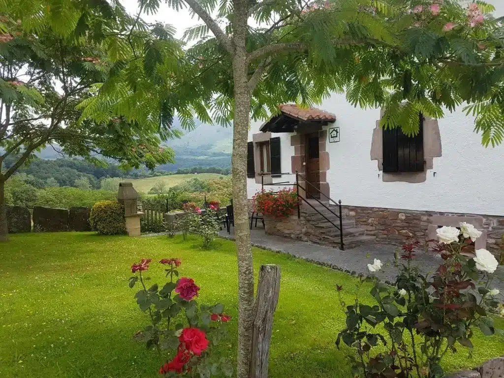 Petisansenea - Foto 5