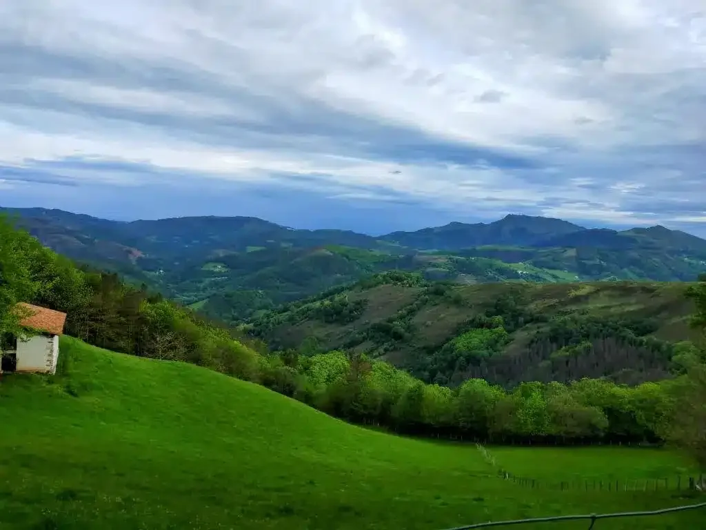 Aldalurberea - Foto 5