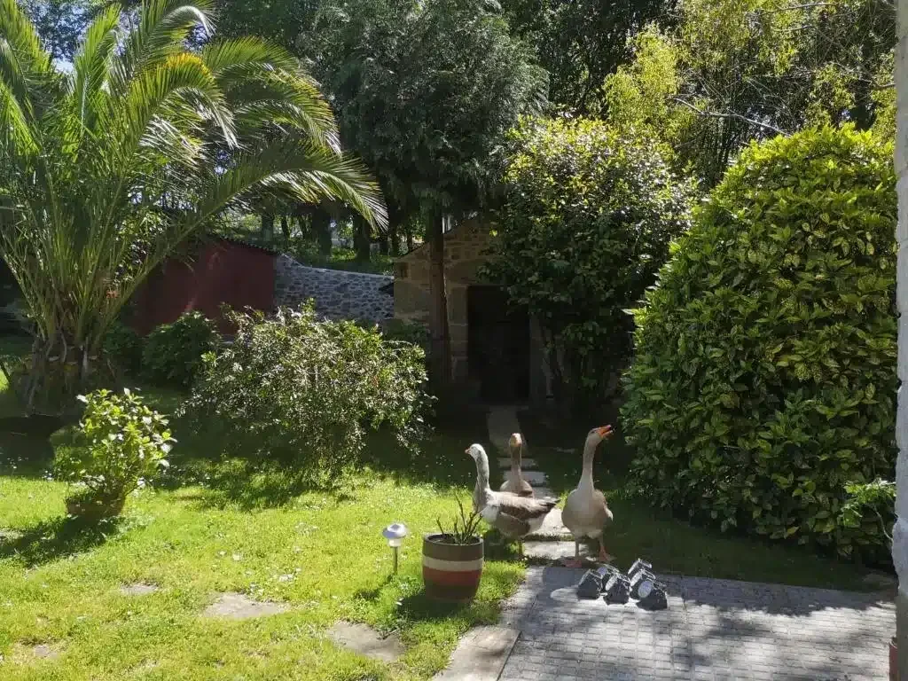 Casa da Carballeira - Foto 2