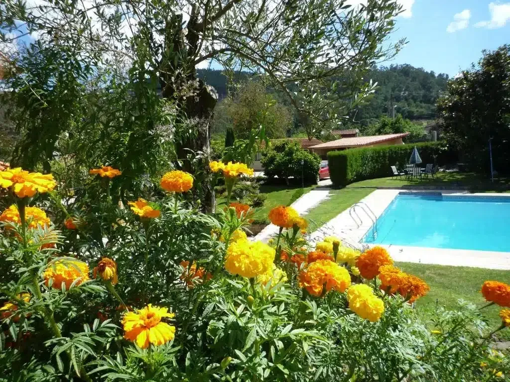 Casa das Pías - Foto 4