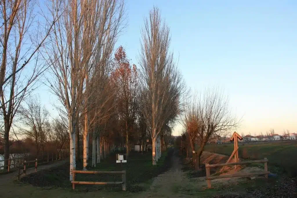 El Bardal de Huerta - Foto 4