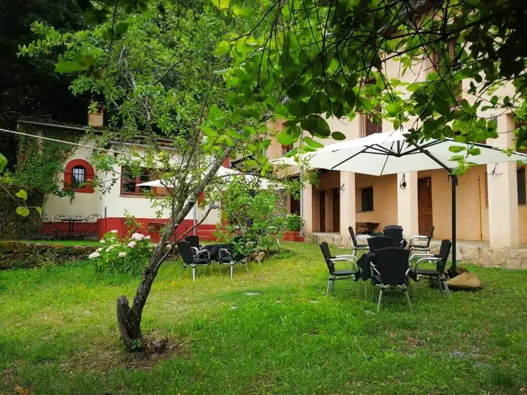 El Jardín del Conde - Foto 1