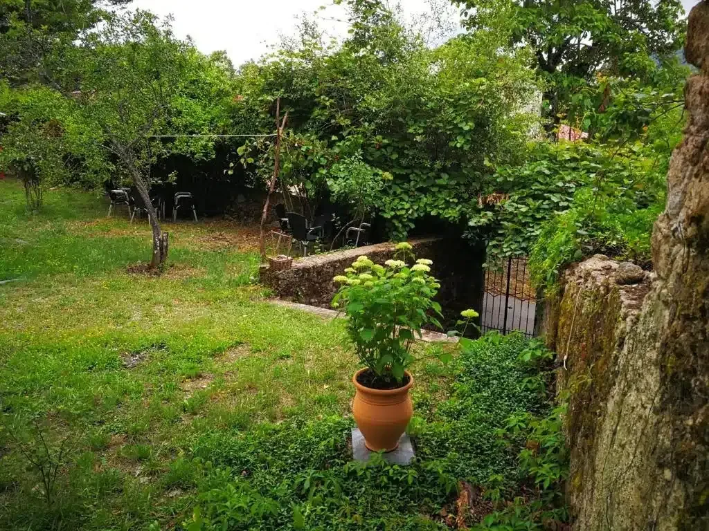 El Jardín del Conde - Foto 5
