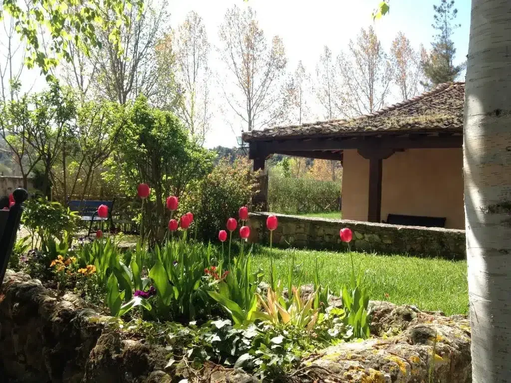 La Tejera de Fausto - Foto 2