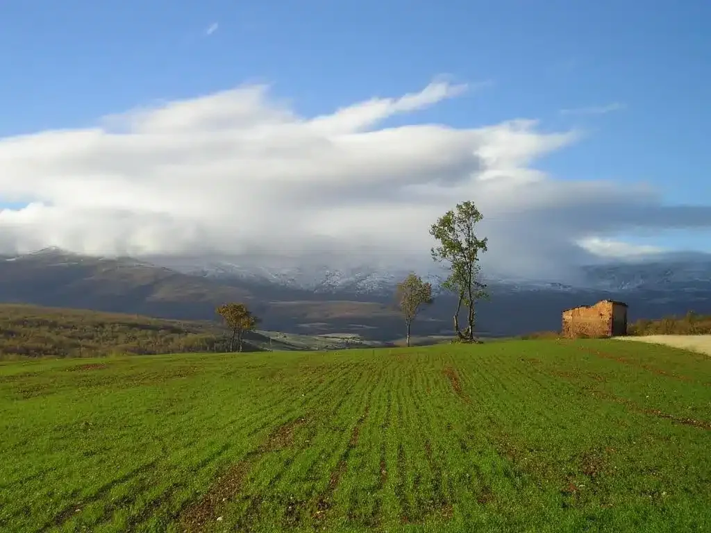 Molino de la Ferrería - Foto 2