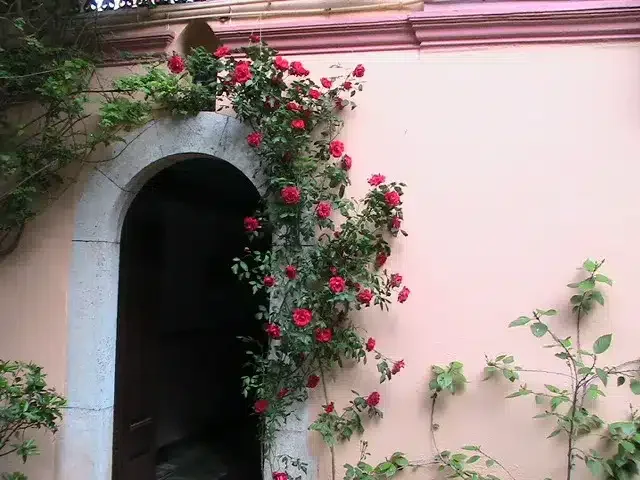 Villa Carmen - Foto 4