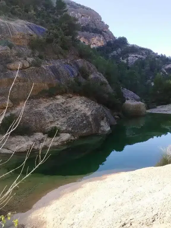 Mas de Manresa - Foto 3