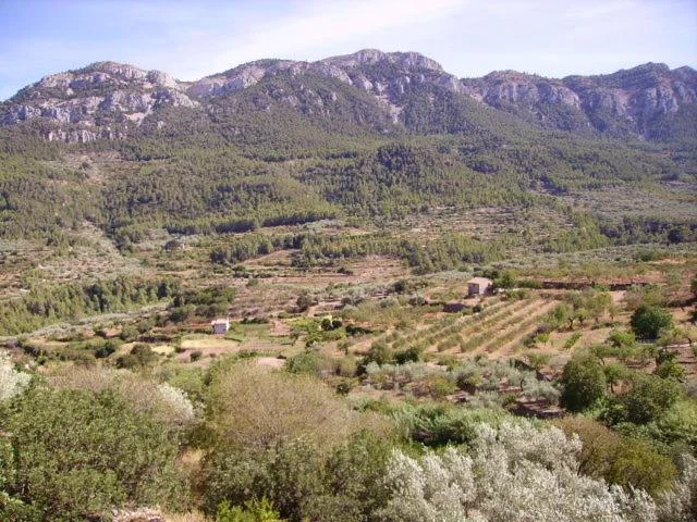 Ca Les Barberes - Foto 3