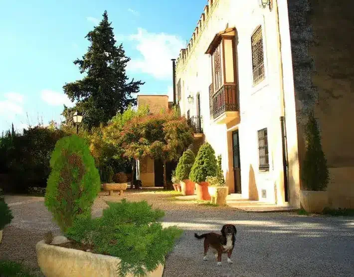 El Pinet - Foto 4