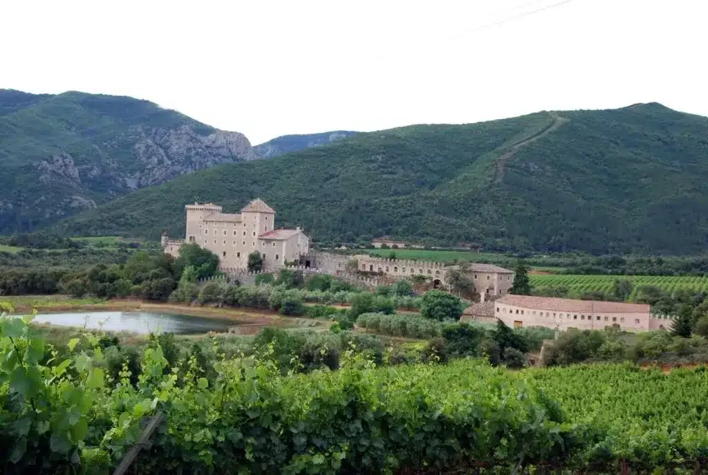 Castell de Riudabella - Foto 3