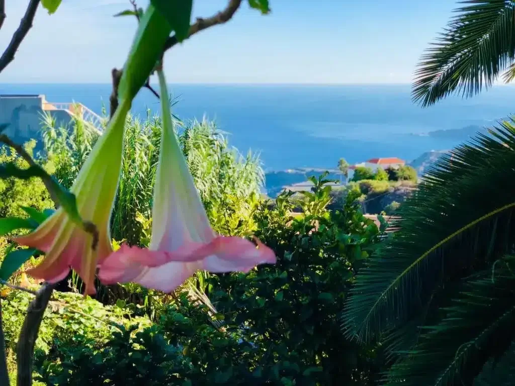 Casa Ida - Foto 3