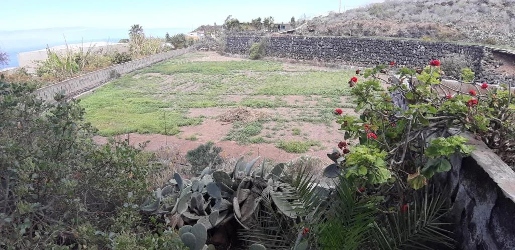 Finca Las Dulces - Foto 4