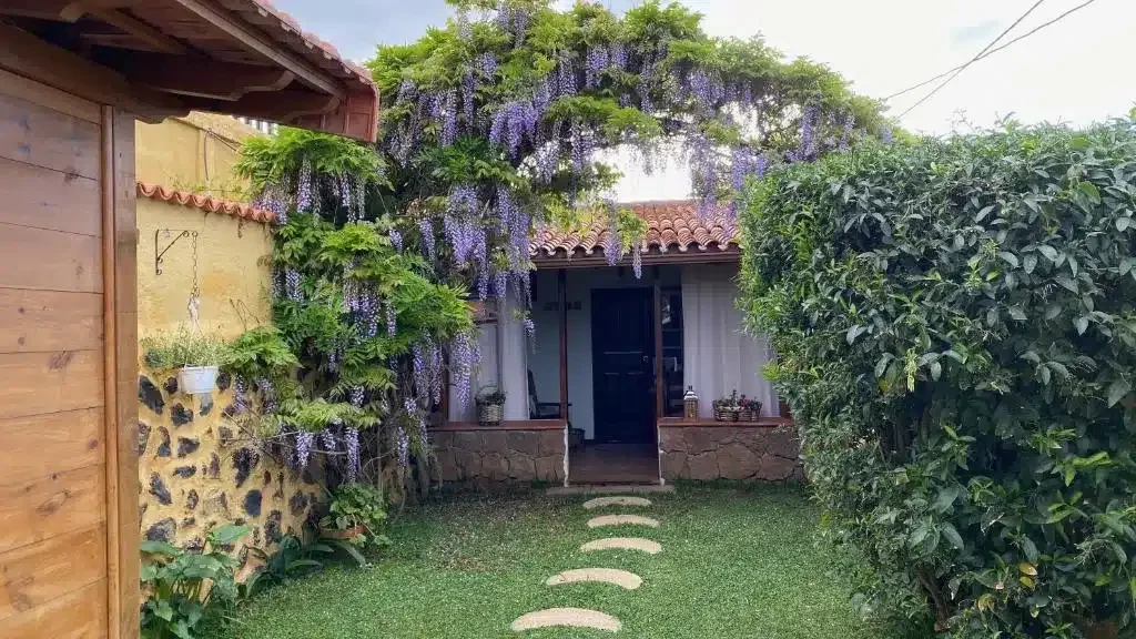 La Gañanía - Foto 3