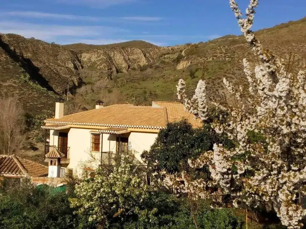 Las Huertas de Roque - Foto 2