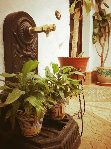 La Sarteneja - Foto 4