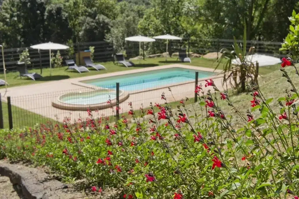 Mas Molera - Foto 2