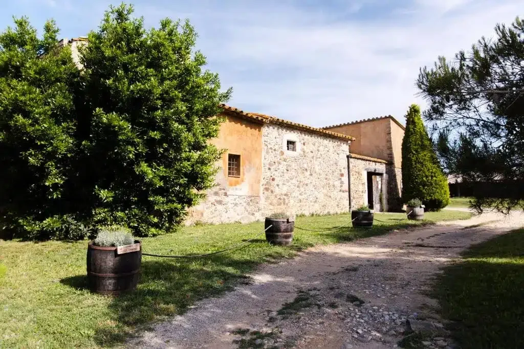Sant Dionis - Foto 4