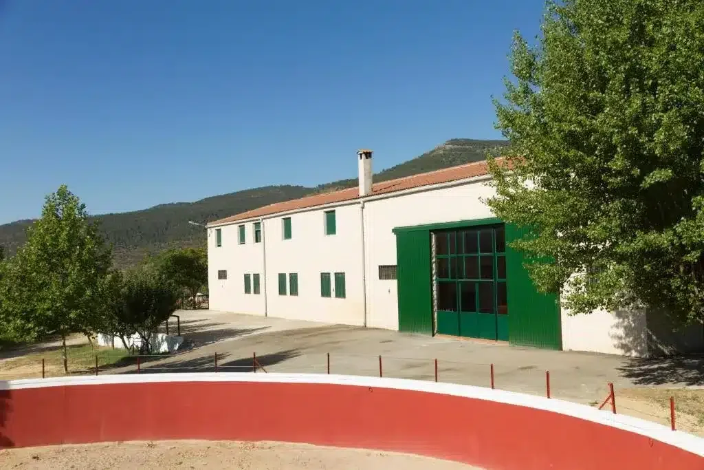Casa Mayorazgo - Foto 1