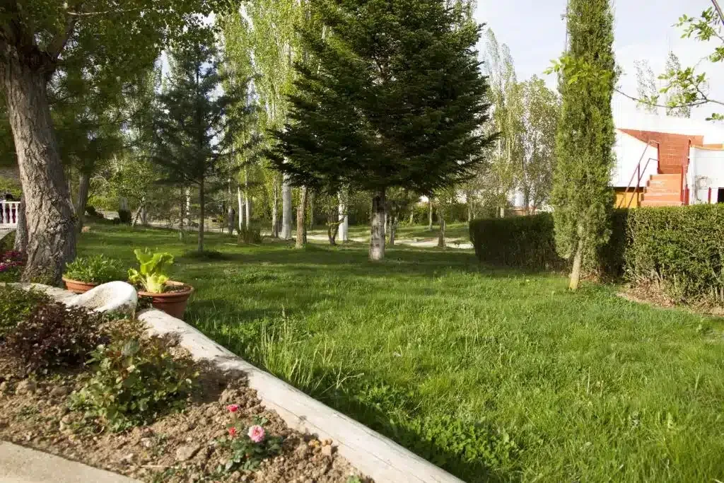 Casa Mayorazgo - Foto 4