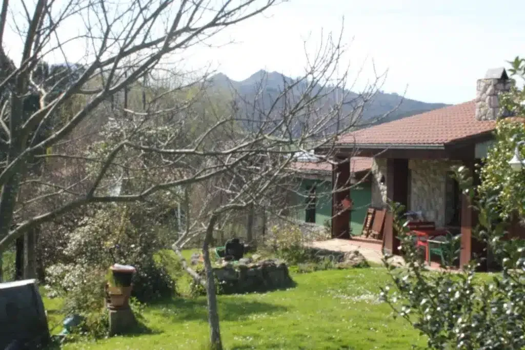 La Xana - Foto 3