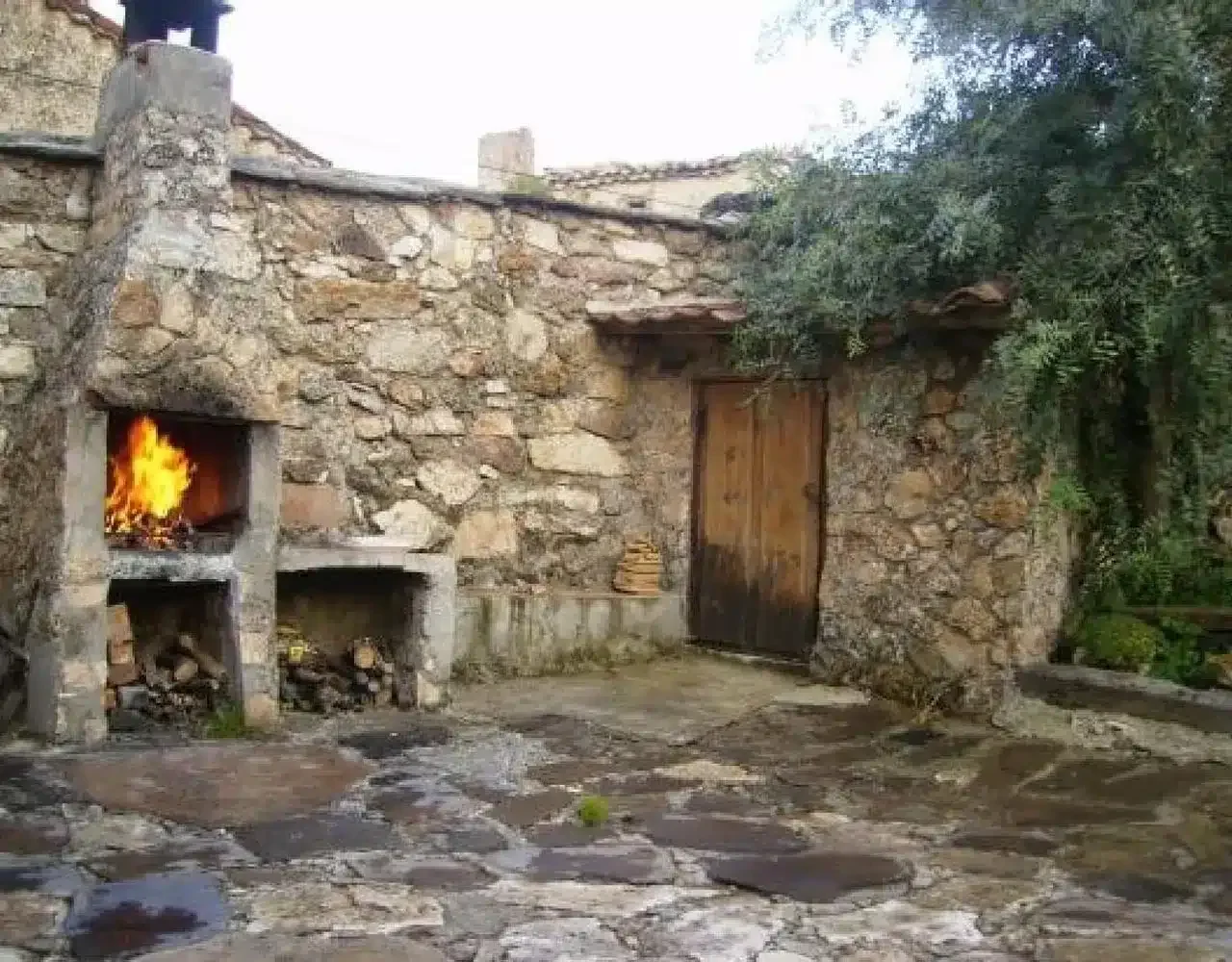 El Fresno - Foto 3