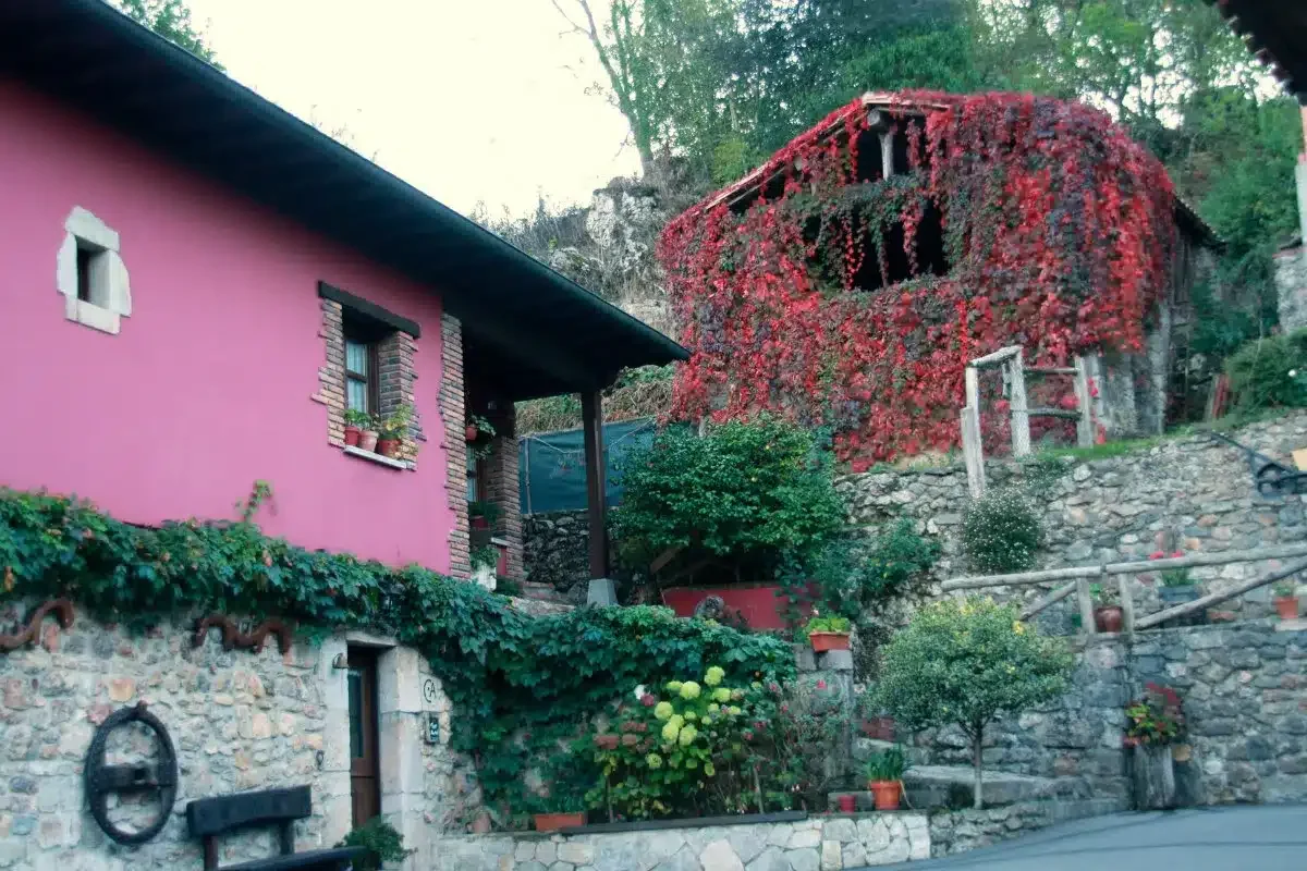 El Trechal - Foto 3