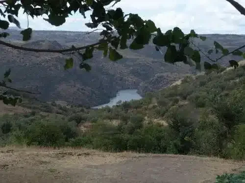 Marqués de la Liseda - Foto 3