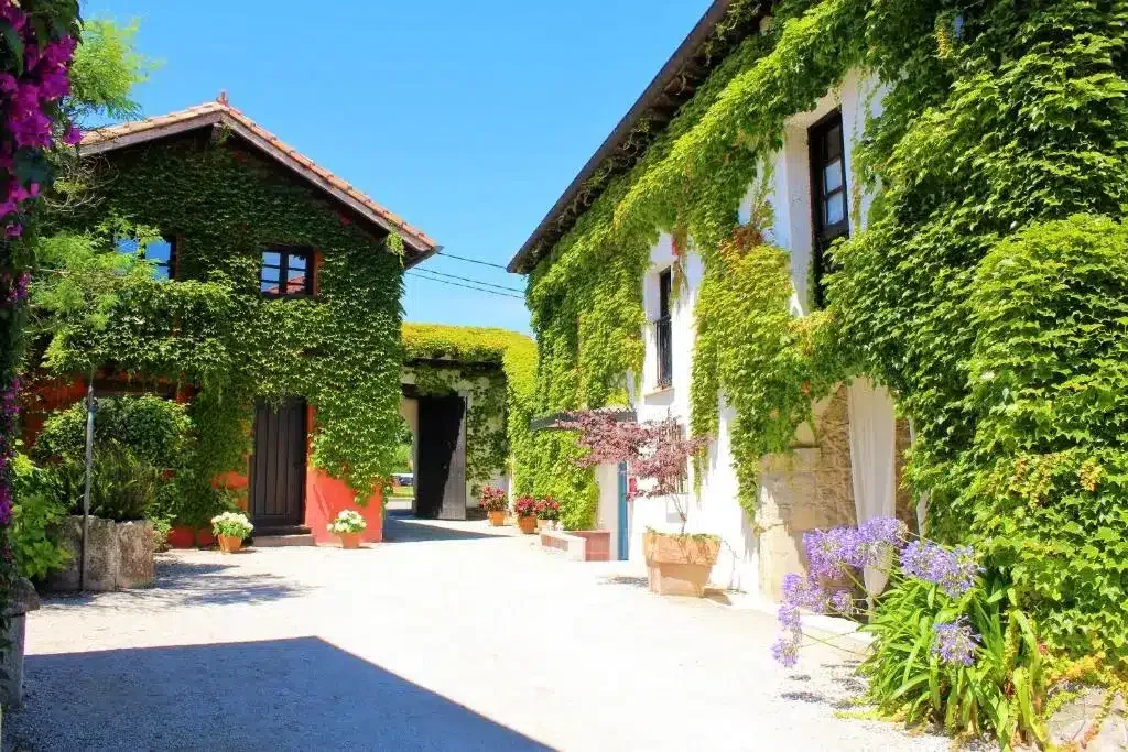 La Casona de Suesa - Foto 1