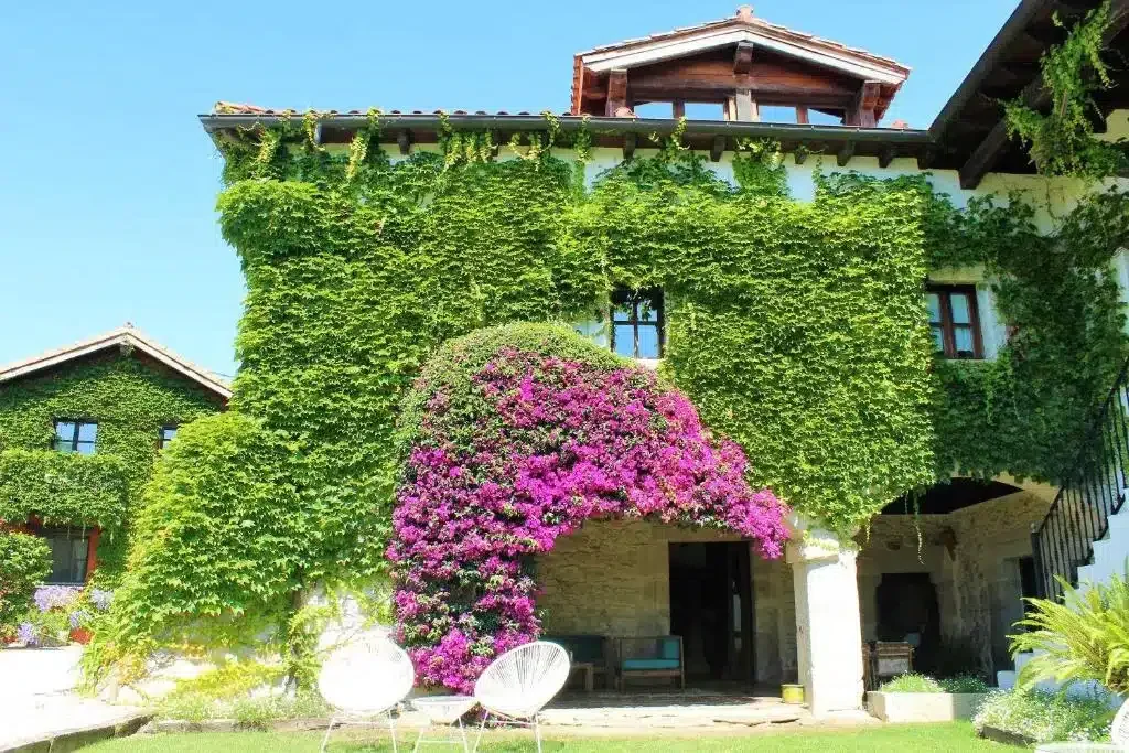 La Casona de Suesa - Foto 5