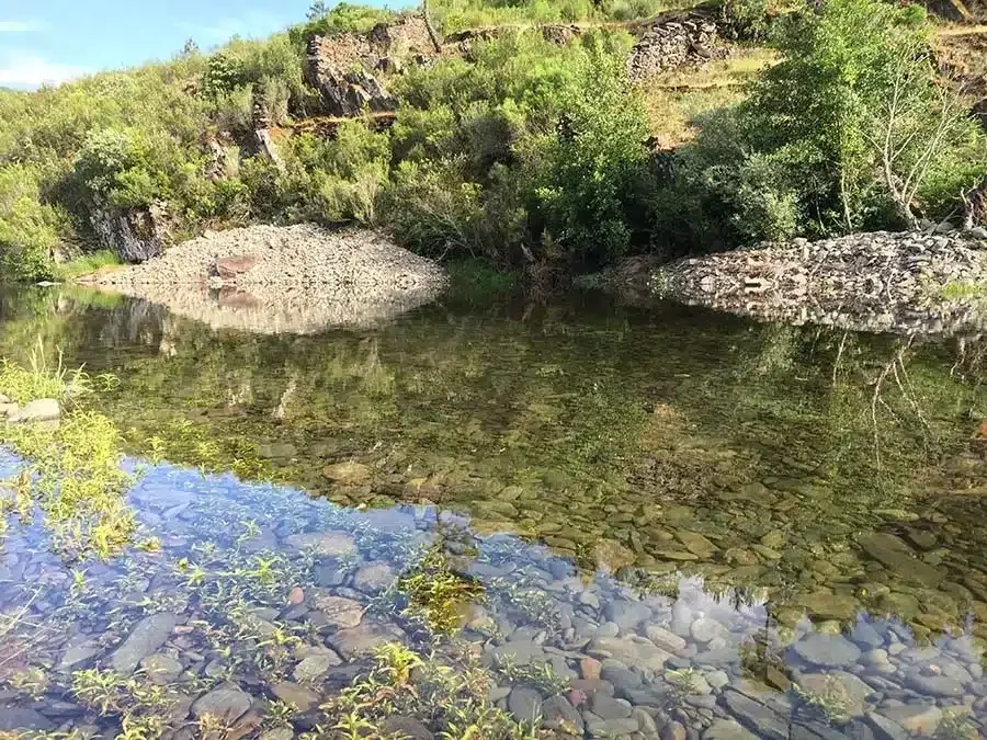 El Molino de Horcajo - Foto 4