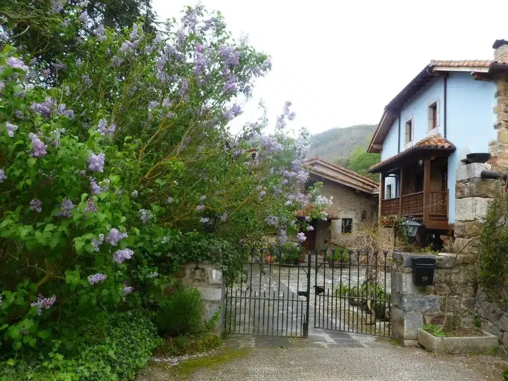 Casa Reda - Foto 1