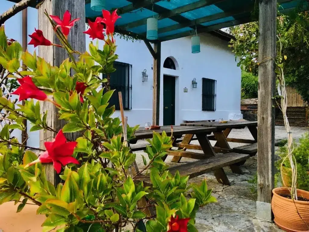 Huerta Grande - Foto 2