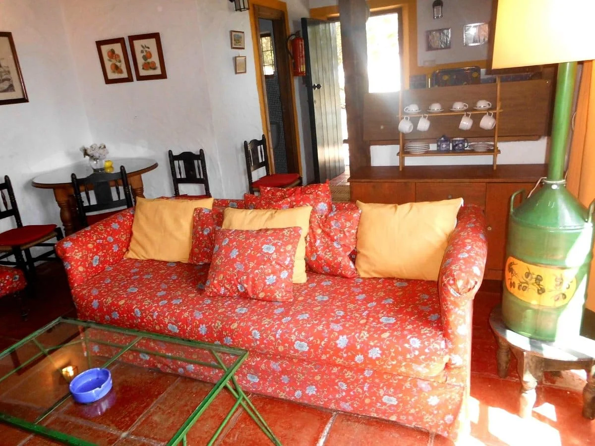 El Vínculo - Foto 3