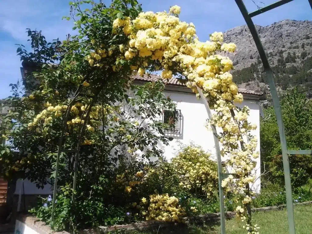 La Malena - Foto 2