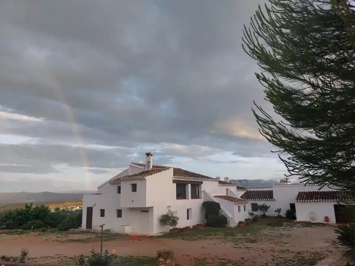 Almazara Alta y Jacaranda - Foto 4