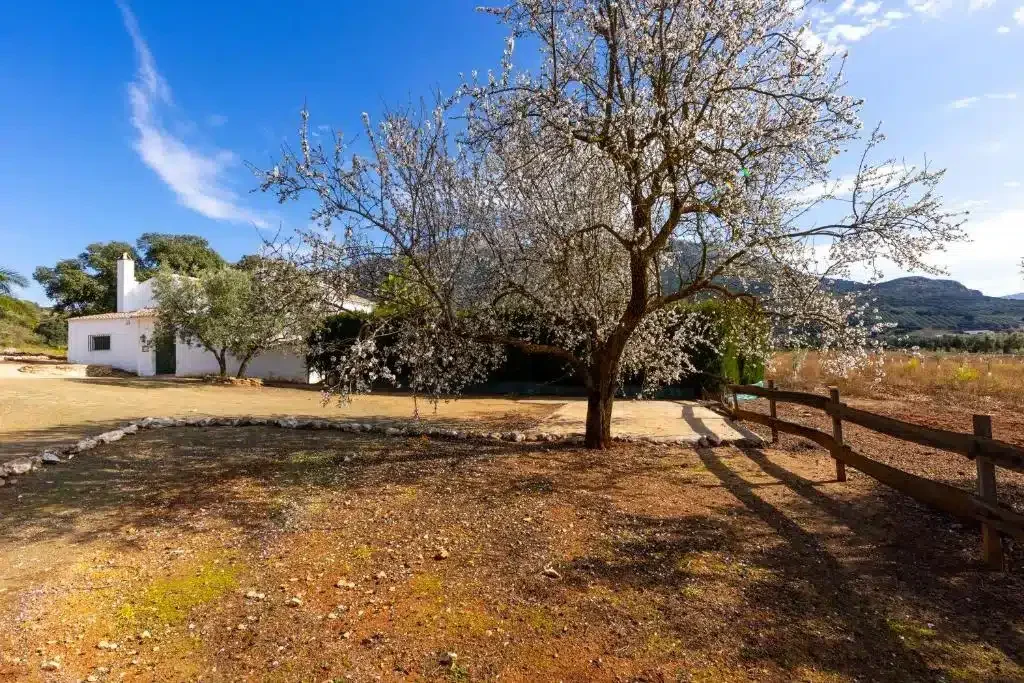 Cortijo Fuente de Alonso Gómez - Foto 5
