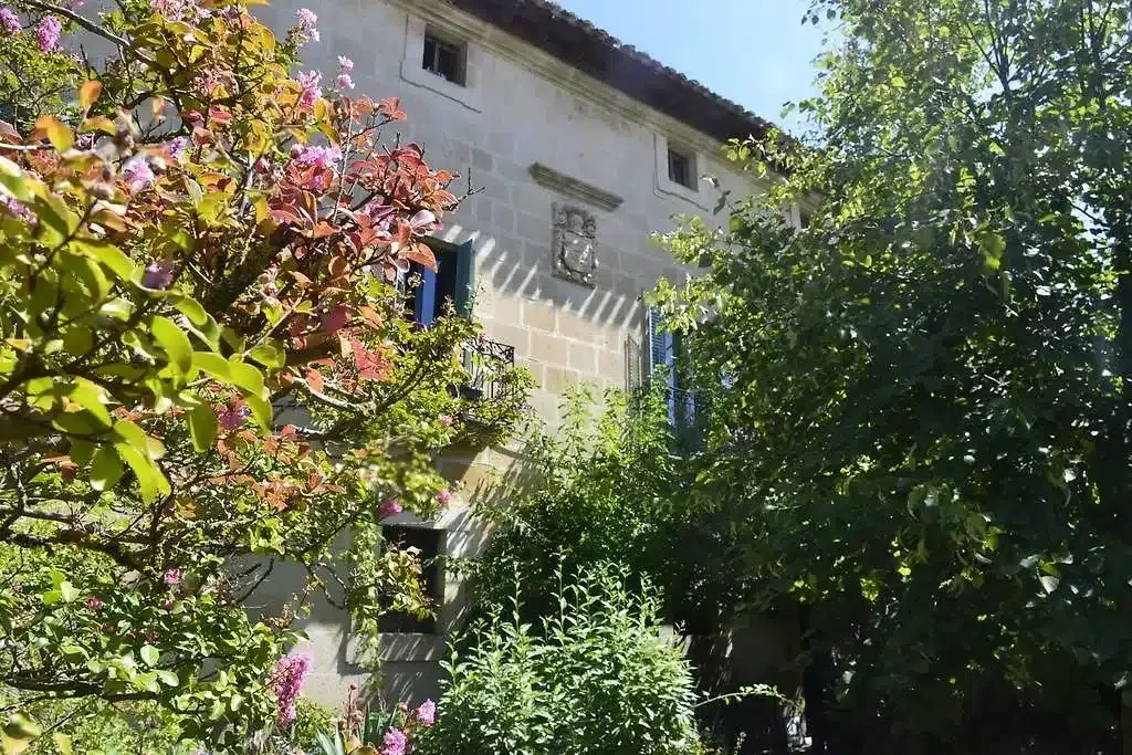 Palacio de Riezu - Foto 1