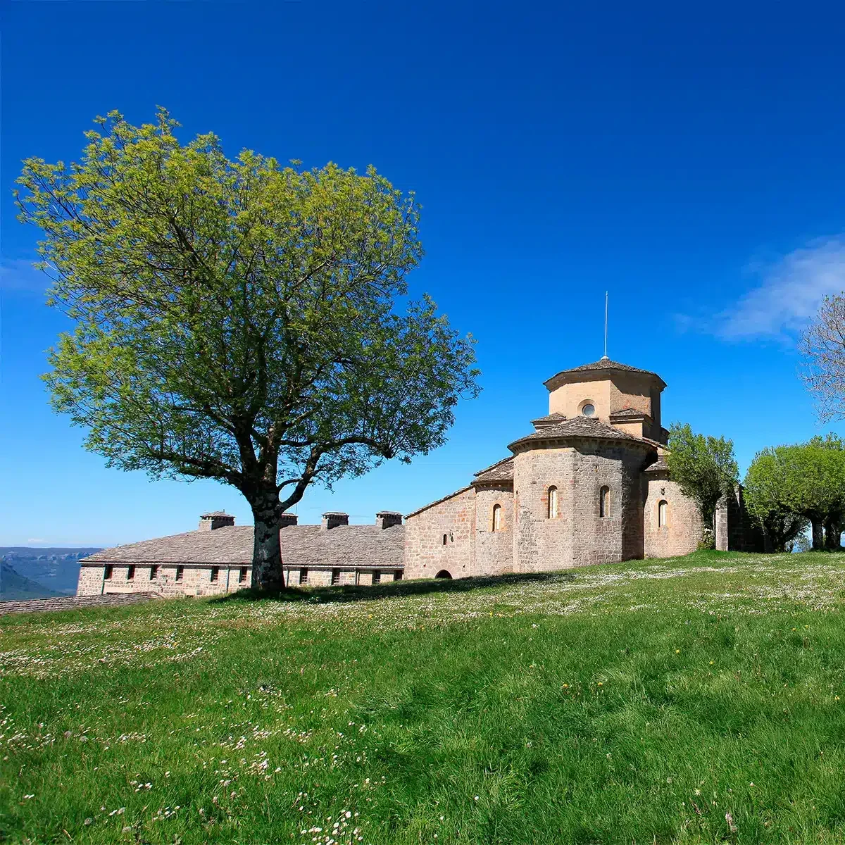 Perugorría Berria - Foto 2